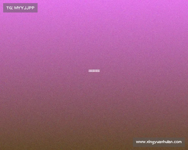 游泳比赛报名费